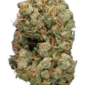 blueberry kush strain