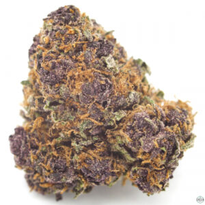 Purple Kush